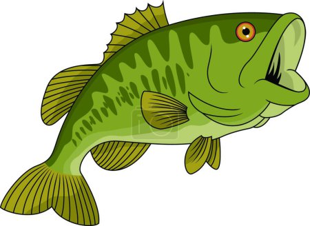 Illustration for Bass fish vector illustration - Royalty Free Image