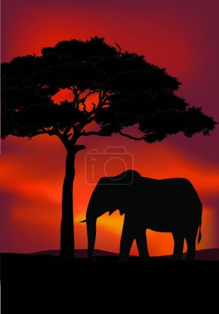 Téléchargez les illustrations : Animaux africains en savane, illustration colorée - en licence libre de droit