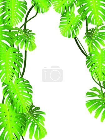 Téléchargez les illustrations : Feuilles tropicales illustration vectorielle de fond - en licence libre de droit