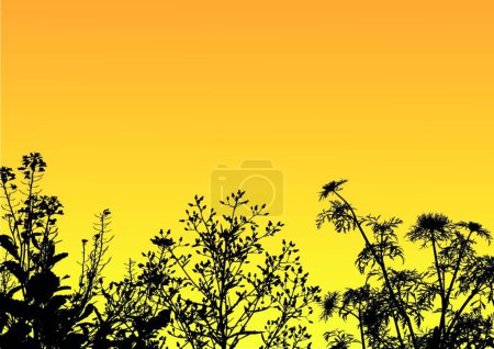 Illustration for Grass silhouette background, graphic vector illustration - Royalty Free Image