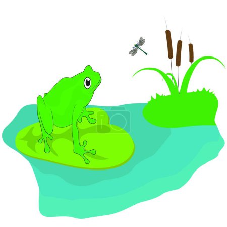 Téléchargez les illustrations : Illustration vectorielle grenouille affamée - en licence libre de droit