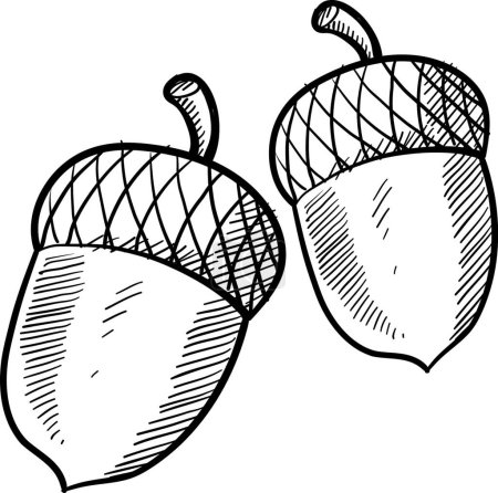 Ilustración de Bosquejo de maíz, ilustración vectorial - Imagen libre de derechos
