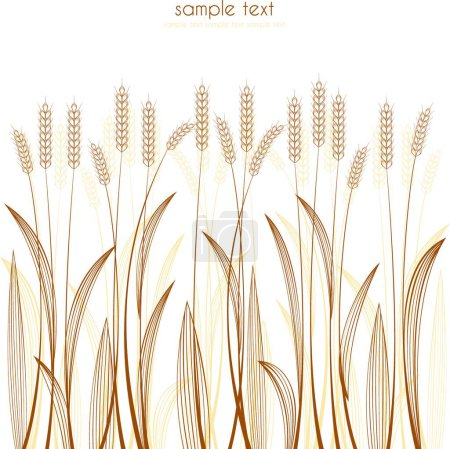 Illustration for Grain on white vector illustration - Royalty Free Image