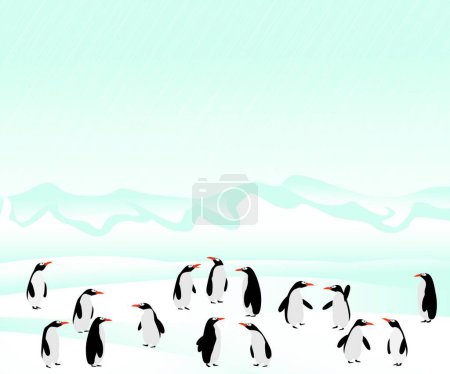 Illustration for Penguins background, graphic vector illustration - Royalty Free Image
