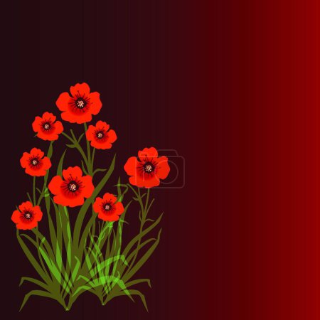 Illustration for Red Poppies, vector illustration simple design - Royalty Free Image