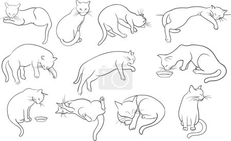 Illustration for "Set of line cats silhouette" - Royalty Free Image