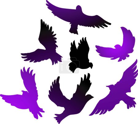 Illustration for Birds icon for web, vector illustration - Royalty Free Image