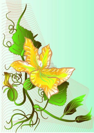 Ilustración de Flor abstracta de calabaza joven - Imagen libre de derechos