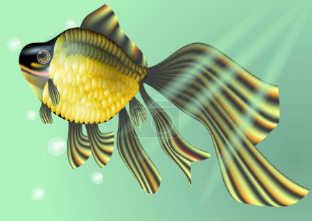 Illustration for Goldfish, vector illustration simple design - Royalty Free Image