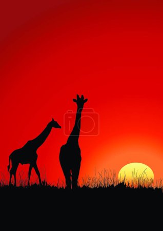 Téléchargez les illustrations : Girafes illustration vectorielle moderne - en licence libre de droit