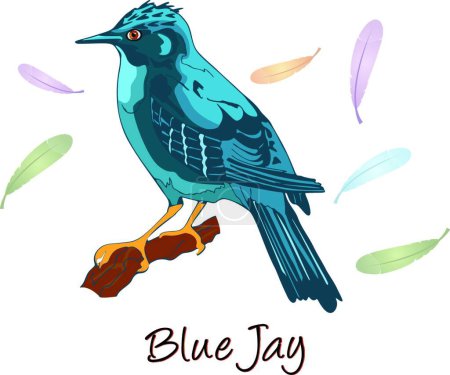 Ilustración de Jay azul, Ilustración de color - Imagen libre de derechos