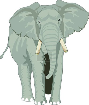 Téléchargez les illustrations : Illustration vectorielle d'icône d'éléphant - en licence libre de droit