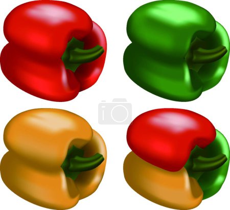 Illustration for Bell Peppers, vector illustration simple design - Royalty Free Image