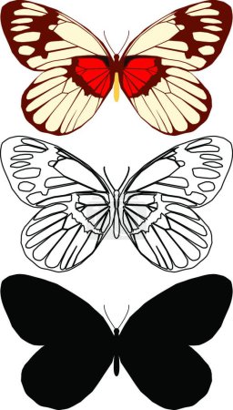 Téléchargez les illustrations : Ensemble de papillons, illustration d'art créatif - en licence libre de droit