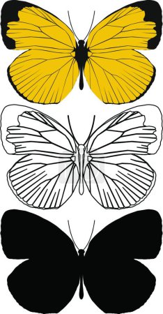 Ilustración de Conjunto de mariposas, ilustración de arte creativo - Imagen libre de derechos