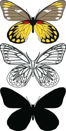 Téléchargez les illustrations : Ensemble de papillons, illustration d'art créatif - en licence libre de droit