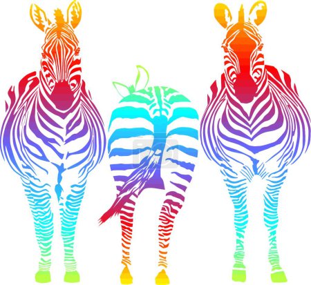 Illustration for Rainbow zebra modern vector illustration - Royalty Free Image