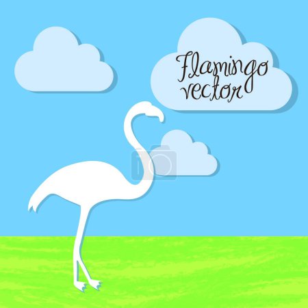Illustration for Flamingo, colorful vector illustration - Royalty Free Image