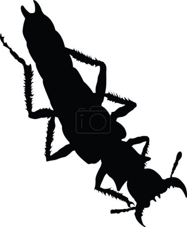 Illustration for Bug silhouette, colorful vector illustration - Royalty Free Image