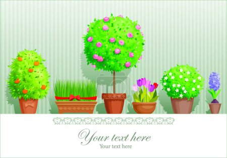 Téléchargez les illustrations : Plantes en pot, illustration vectorielle graphique - en licence libre de droit