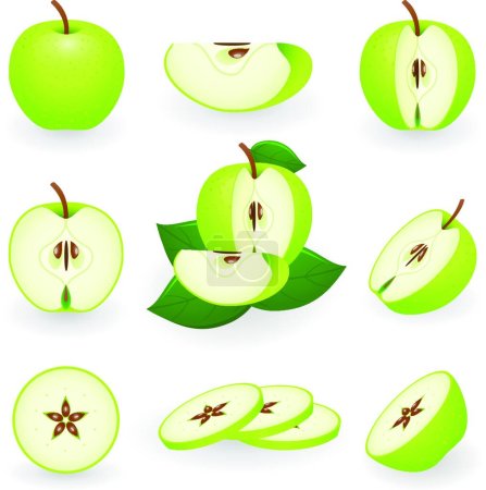 Téléchargez les illustrations : Pomme verte, illustration vectorielle simple - en licence libre de droit