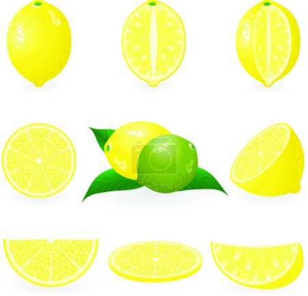Téléchargez les illustrations : Citron, illustration vectorielle simple - en licence libre de droit