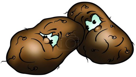 Téléchargez les illustrations : Illustration vectorielle moderne des pommes de terre - en licence libre de droit