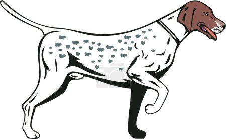 Ilustración de Perro puntero Vista lateral Retro moderno vector de ilustración - Imagen libre de derechos