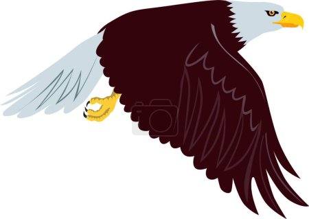 Illustration for Illustration of the Bald Eagle Flying - Royalty Free Image