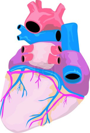 Ilustración de La Ilustración del órgano del corazón Retro - Imagen libre de derechos