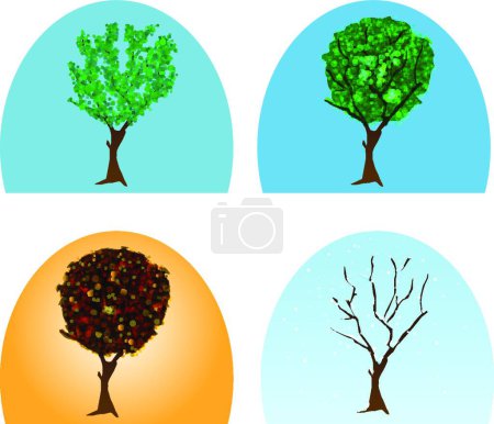 Illustration for Four seasons, colorful vector illustration - Royalty Free Image