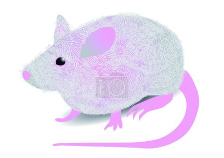 Illustration for Illustration of the gray mouse - Royalty Free Image