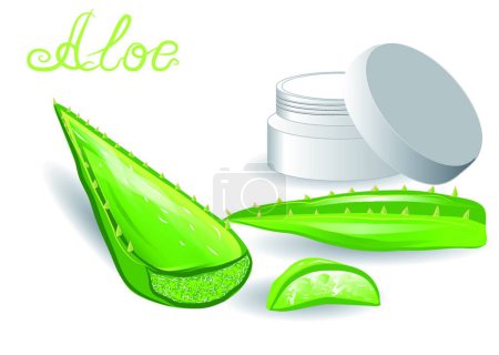 Illustration for Aloe leaves and cream - Royalty Free Image