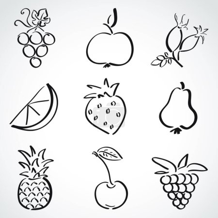 Téléchargez les illustrations : Fruits et baies, illustration vectorielle colorée - en licence libre de droit