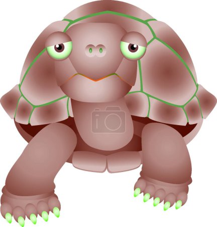 Illustration for "illustration of isolated turtle on white" - Royalty Free Image