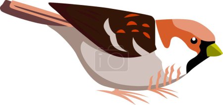 Ilustración de Pájaro en la ilustración vector blanco - Imagen libre de derechos