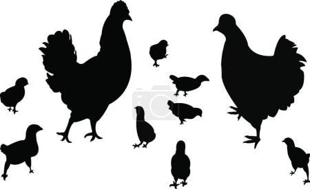 Téléchargez les illustrations : Silhouette de famille de poulet, illustration vectorielle graphique - en licence libre de droit
