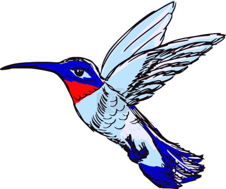 Téléchargez les illustrations : Illustration vectorielle graphique de colibri - en licence libre de droit