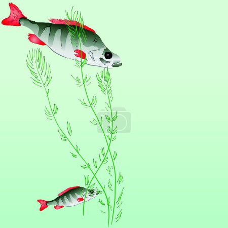 Ilustración de Perchas bajo el agua, ilustración vectorial gráfica - Imagen libre de derechos