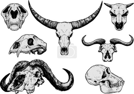 Téléchargez les illustrations : Crânes d'animaux - ensemble, illustration vectorielle - en licence libre de droit