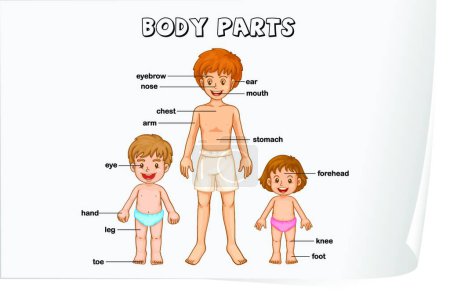 Illustration for "body parts"" graphic vector illustration - Royalty Free Image