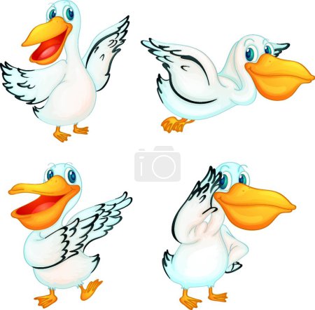Illustration for Pelican series, colorful vector illustration - Royalty Free Image