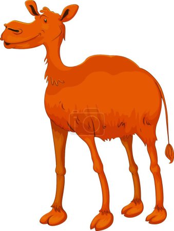 Ilustración de Camello, ilustración vectorial gráfica - Imagen libre de derechos