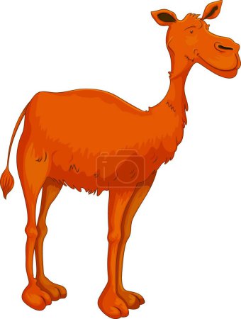 Téléchargez les illustrations : Camel, illustration vectorielle graphique - en licence libre de droit