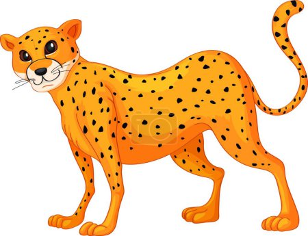 Illustration for Cheetah, graphic vector illustration - Royalty Free Image