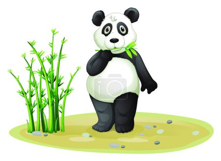 Téléchargez les illustrations : Panda, illustration vectorielle graphique - en licence libre de droit