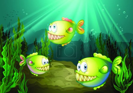 Illustration for Three piranhas under the sea with seaweeds, vector illustration simple design - Royalty Free Image