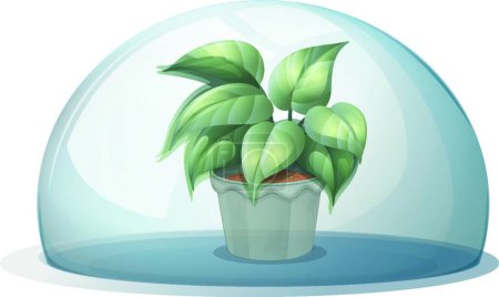 Illustration for Plant inside a transparent dome, vector illustration simple design - Royalty Free Image