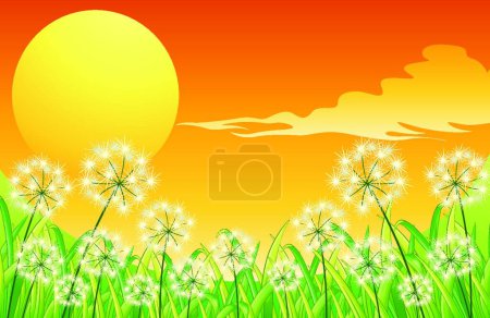 Illustration for Bright sunset scenery, vector illustration simple design - Royalty Free Image