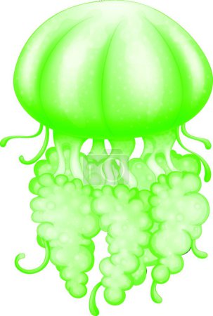Illustration for The Illustration of A green jellyfish - Royalty Free Image